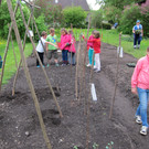 IMG_3121_JPG-1381075341