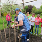 IMG_3124_JPG-1381075380