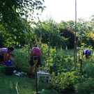 IMG_9067_JPG-1381075404