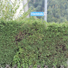 Erlachstra__e_1_jpg-1381082176