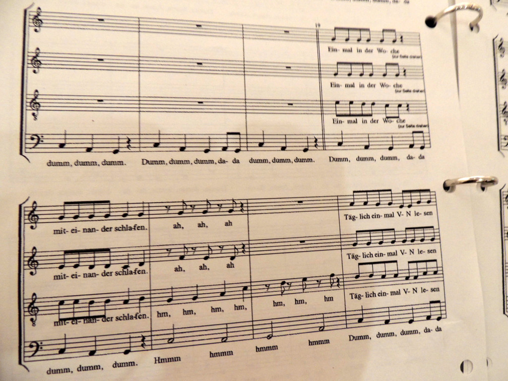 DSCN7972_JPG-1381088394