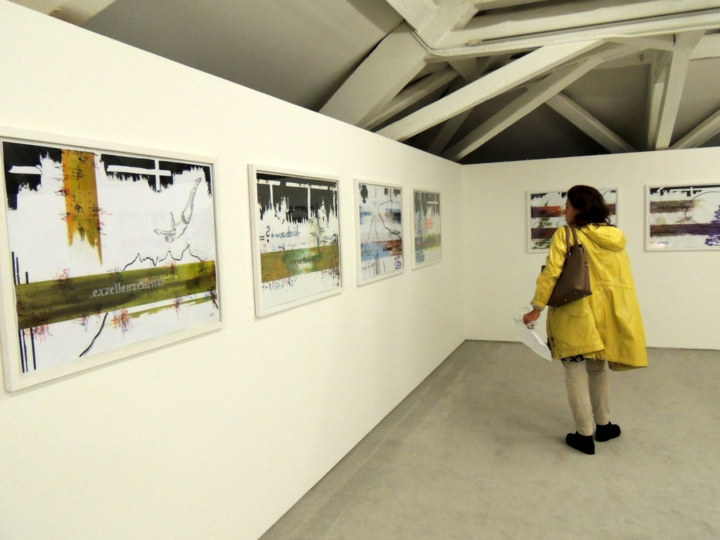 DSCN8112_JPG-1381089339