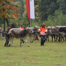 DSC_8150.jpg