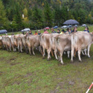 DSC_8183.jpg