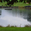 DSC_8143.jpg