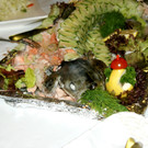 DSC03368.JPG