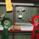 DSCN7675_JPG-1381100512
