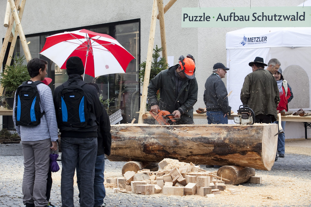 Herbstmarkt 446_jpg-1381135625