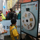 IMG_2437_JPG-1381150161