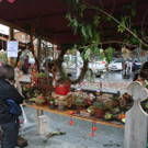 IMG_2685_JPG-1381158411