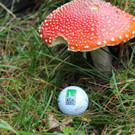 IMG_7358.jpg