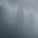 DSC00235 _Large__JPG-1381175933
