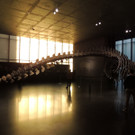 DSCN7855_JPG-1381178697