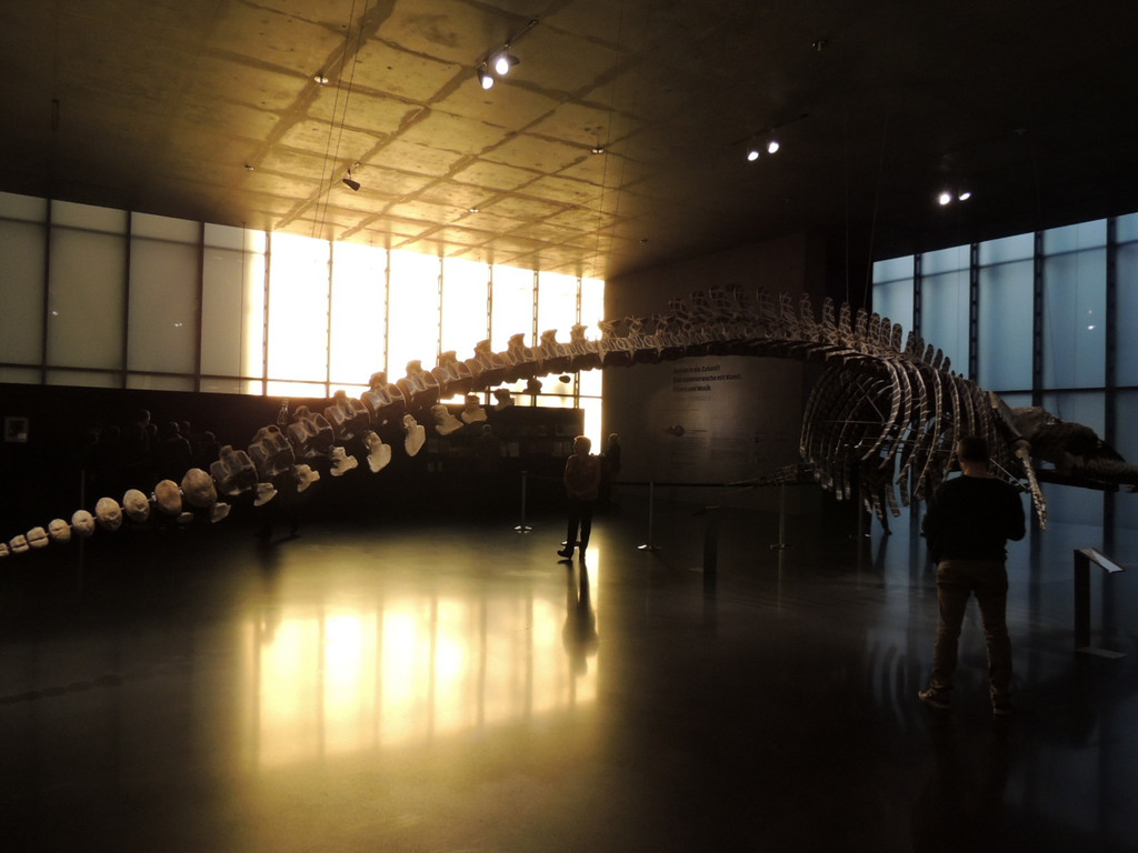 DSCN7855_JPG-1381178697