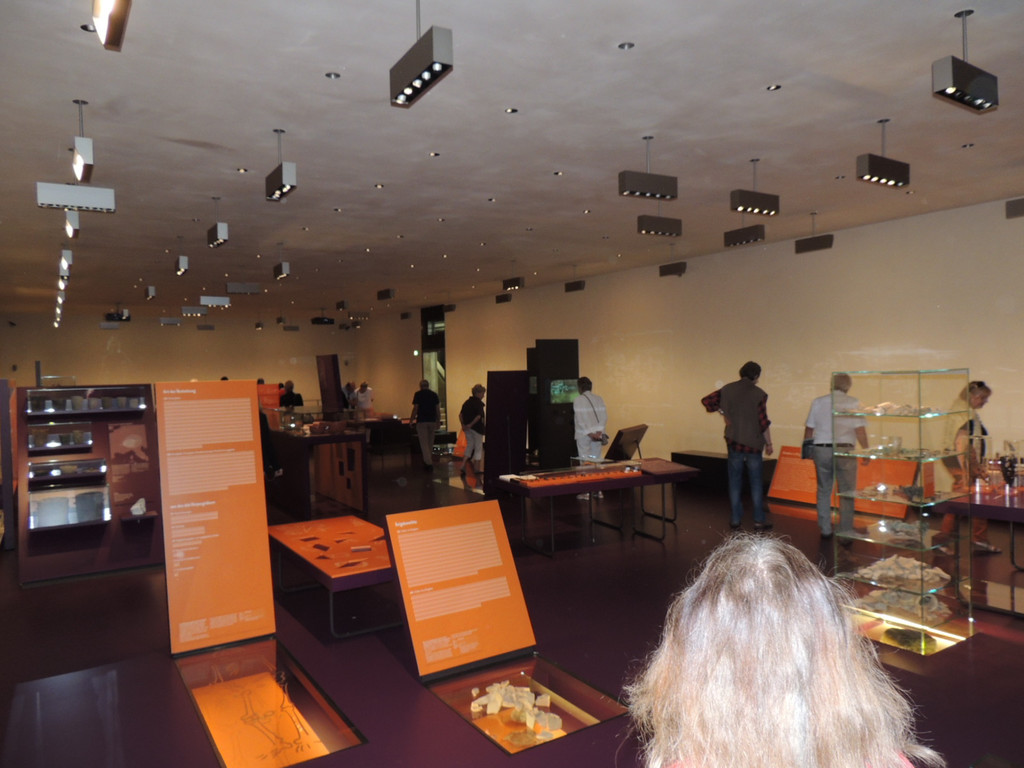 DSCN9339_JPG-1381179640