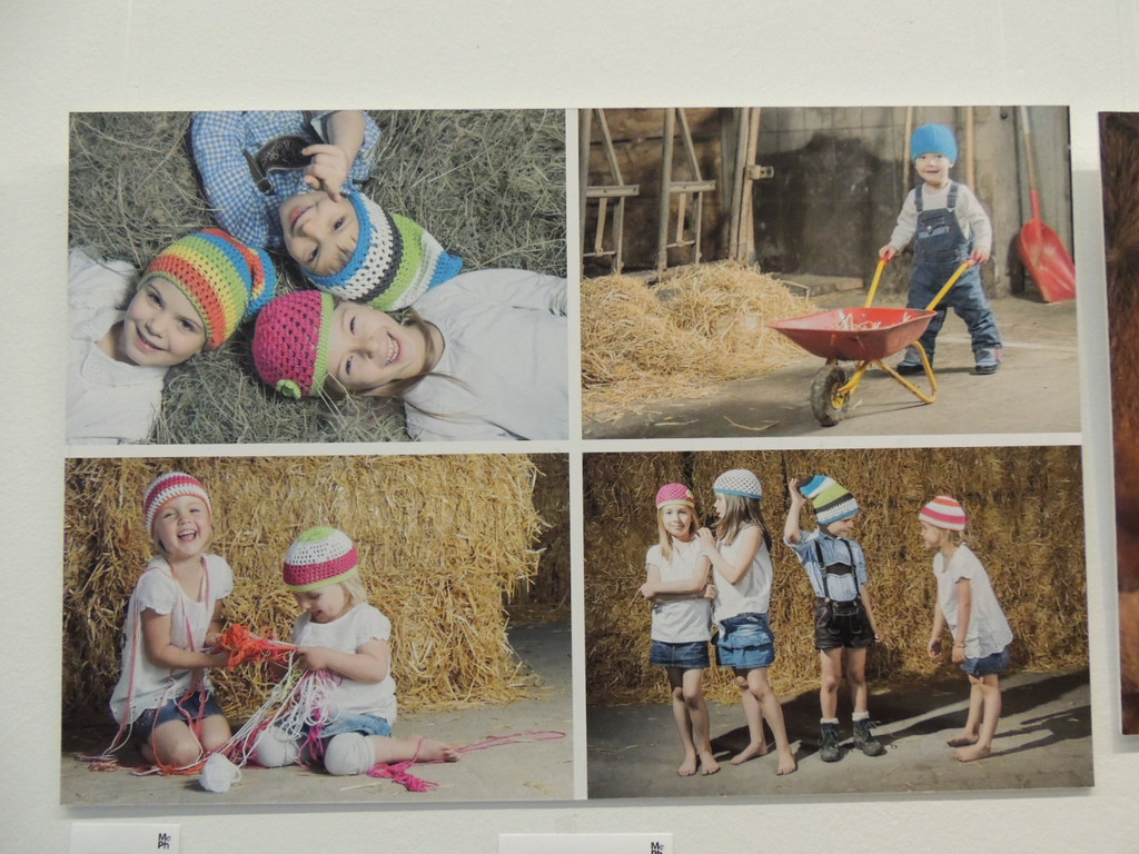 DSCN7152_JPG-1381181669