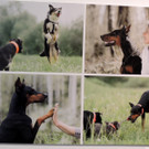 DSCN7163_JPG-1381181676