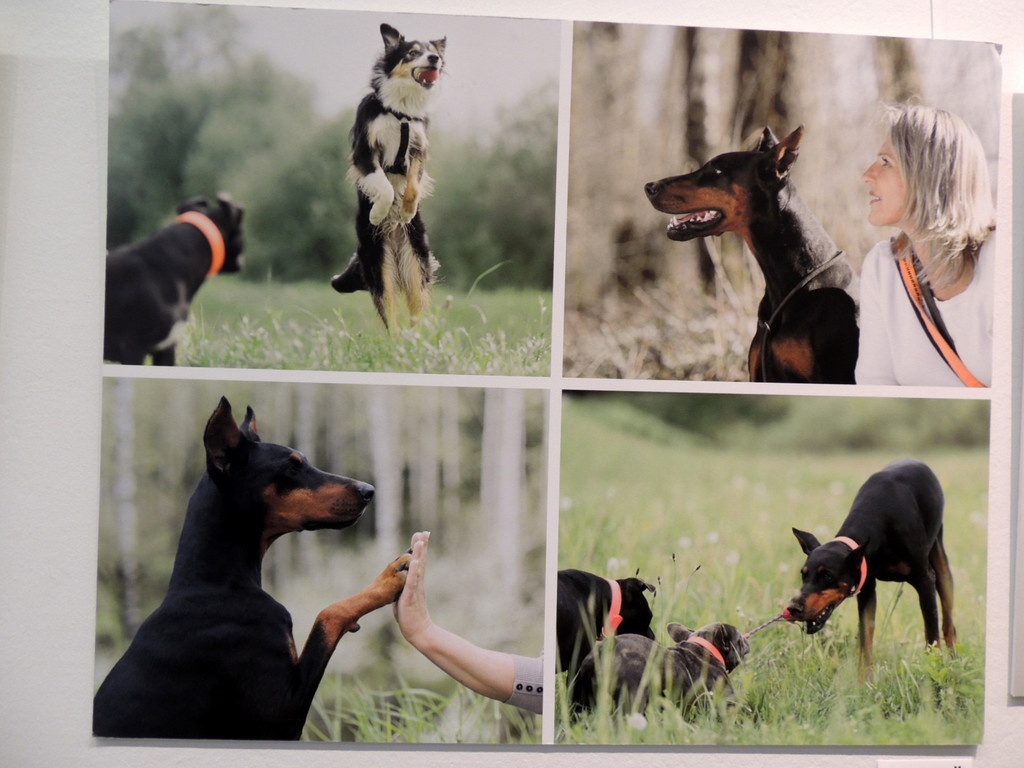 DSCN7163_JPG-1381181676