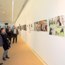 DSCN7165_JPG-1381181679