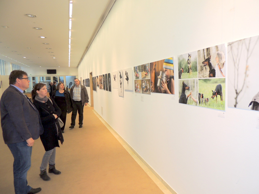 DSCN7165_JPG-1381181679