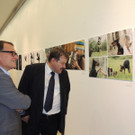 DSCN7211_JPG-1381181729