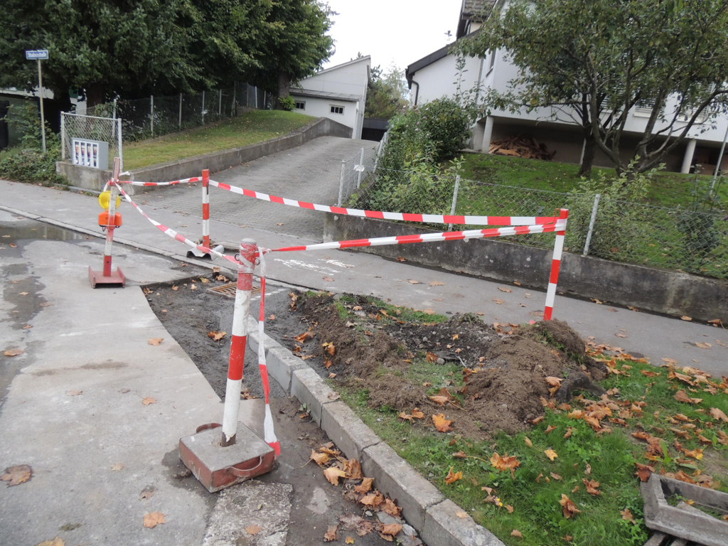 DSCN7347_JPG-1381184573