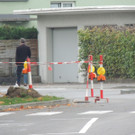 DSCN7353_JPG-1381184597