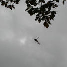 IMG_2772_JPG-1381243841