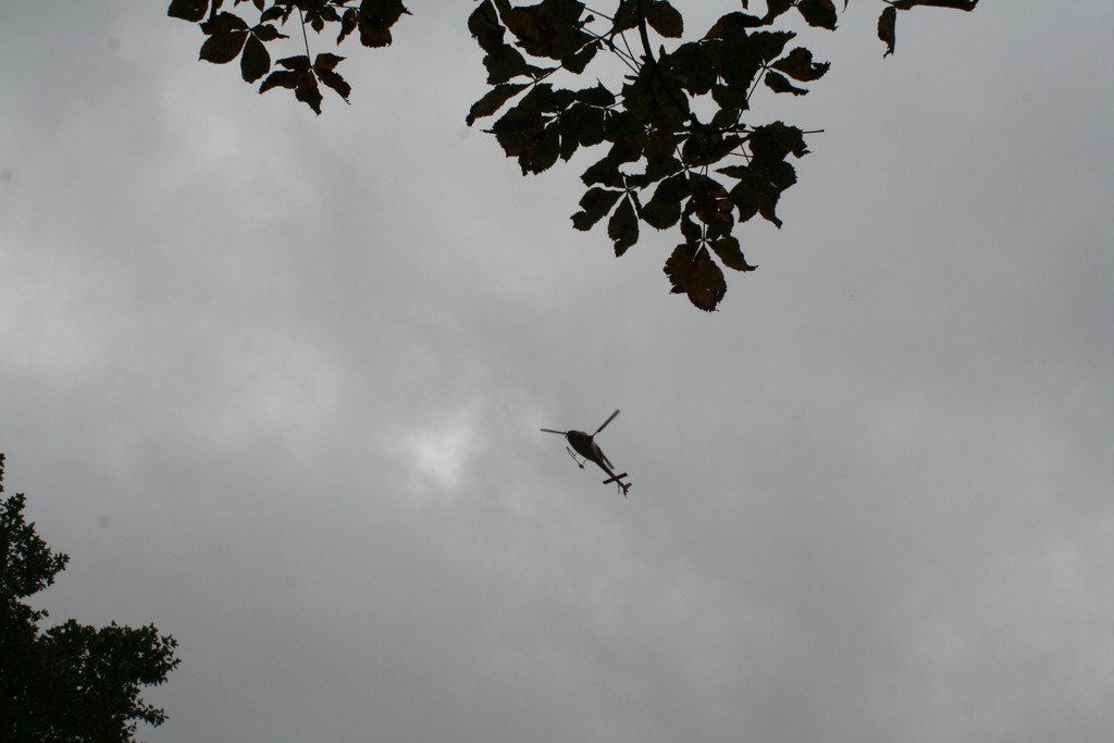 IMG_2772_JPG-1381243841