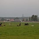 normal_08102013fmt_laermschutz_A1_groedig_mw-16.jpg