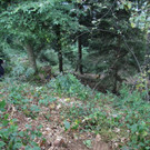 normal_2013-10-08_VUGaisberg_at05016aktivnews033.JPG