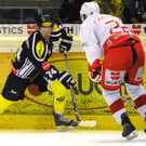 Bulldogs-Niederlage