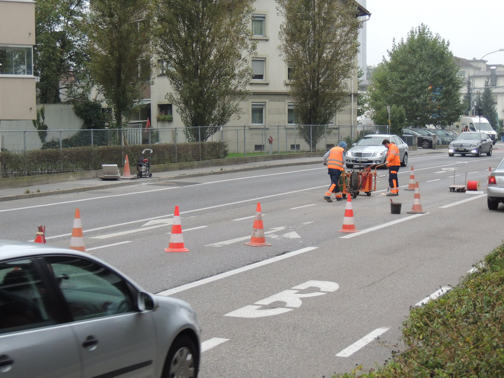 DSCN8344_JPG-1381270548