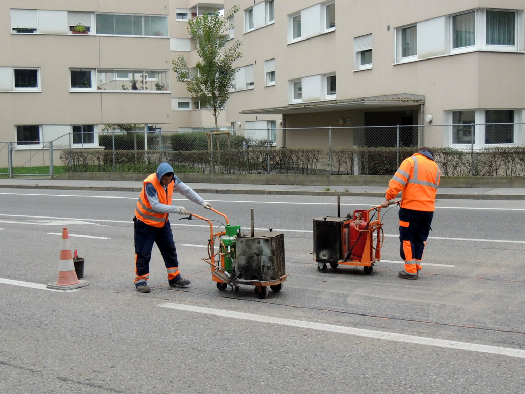 DSCN8339_JPG-1381270535