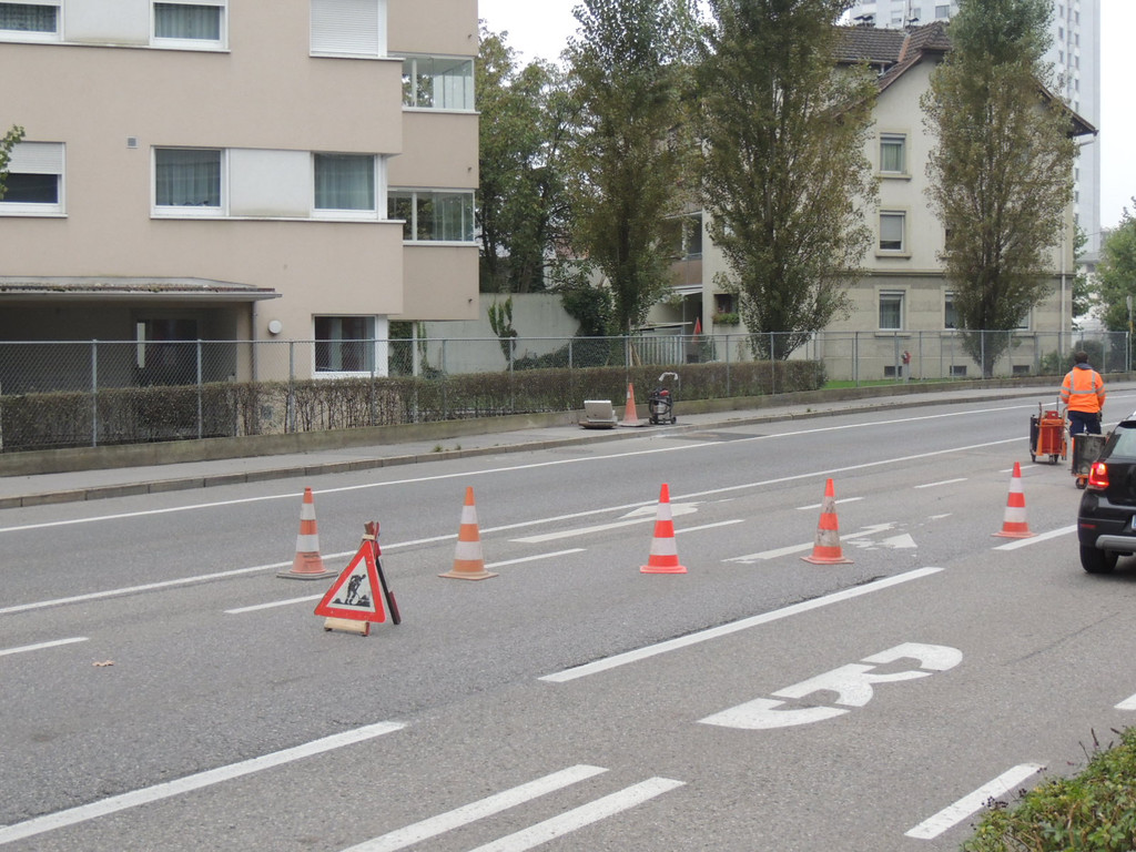 DSCN8342_JPG-1381270541