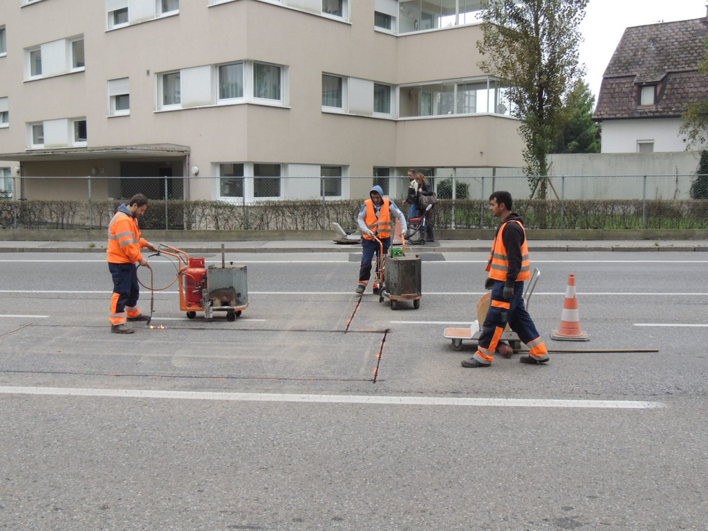 DSCN8350_JPG-1381270560