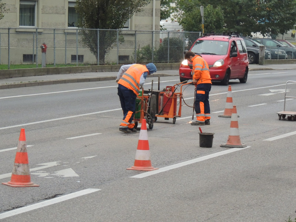 DSCN8347_JPG-1381270552