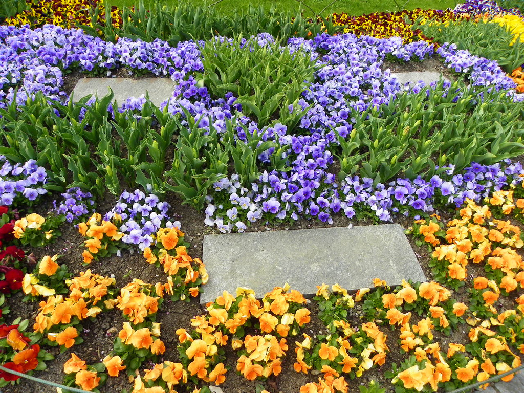 101_5912_jpg-1381358041