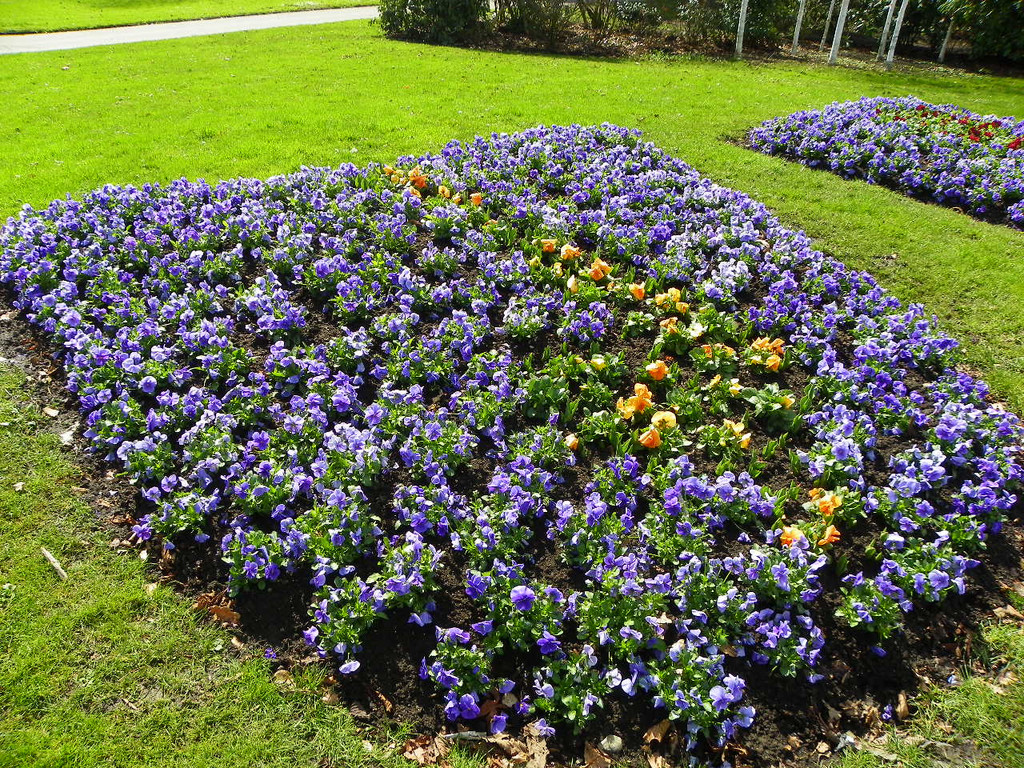 100_9989_jpg-1381357970