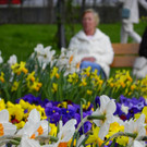 101_5991_jpg-1381358054