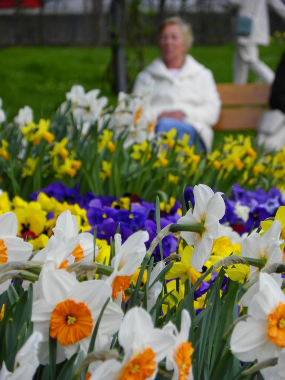 101_5991_jpg-1381358054