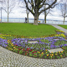 100_9906_jpg-1381357948