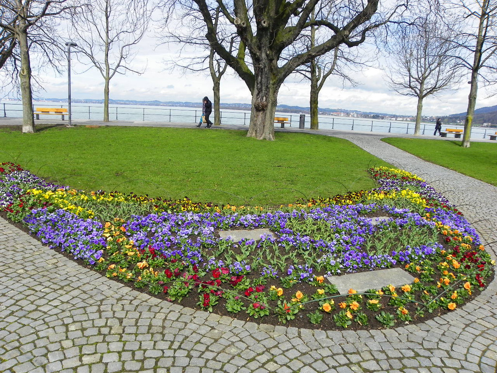 100_9906_jpg-1381357948