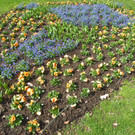 100_9929_jpg-1381357965