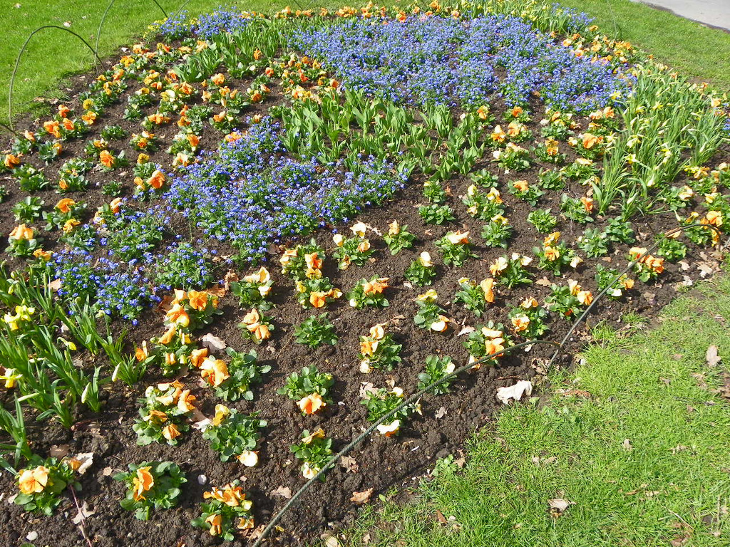 100_9929_jpg-1381357965