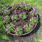 100_9898_jpg-1381357943