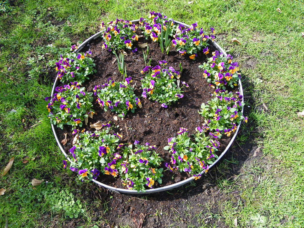 100_9898_jpg-1381357943