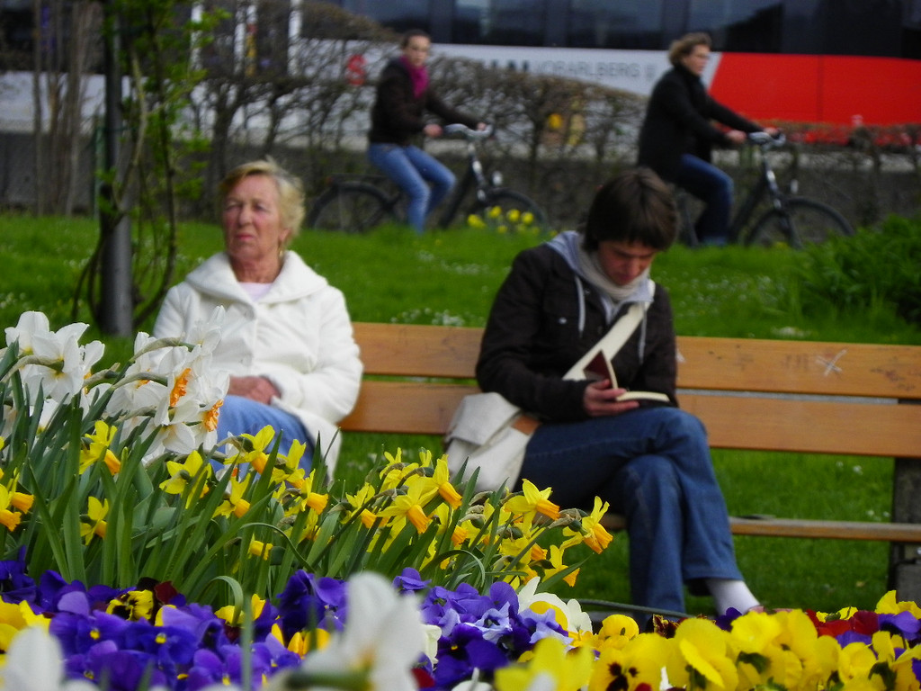 101_5990_jpg-1381358049