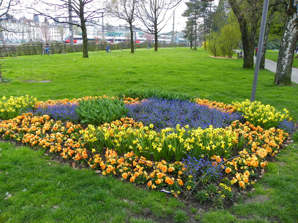 101_5976_jpg-1381358045