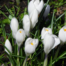 101_0026_jpg-1381357978